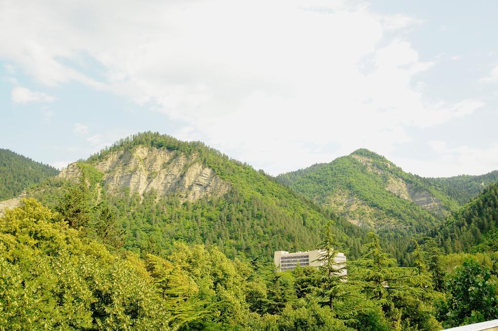 Alma-Ata Hotel Borjomi Exterior photo
